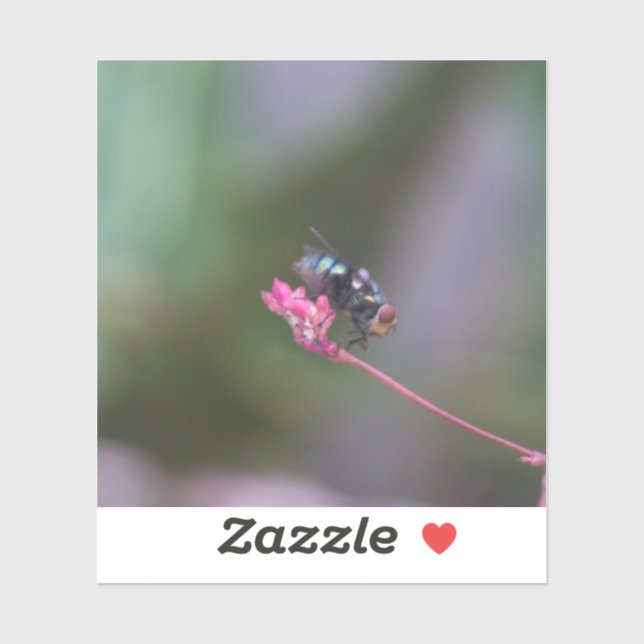 Fly on Pink (Sheet)