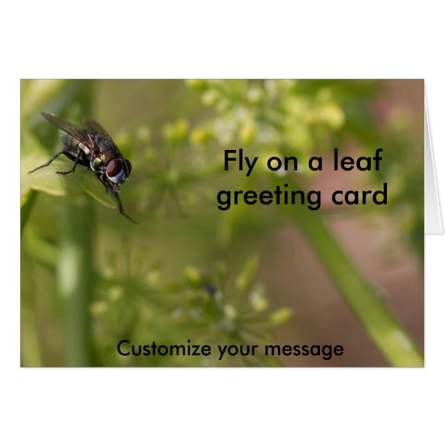 Fly on the wall photography card blank (Front Horizontal)
