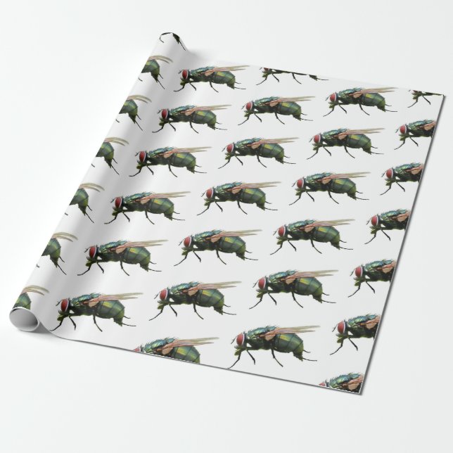 Fly Paper (Unrolled)