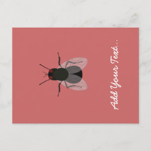 Fly Postcard