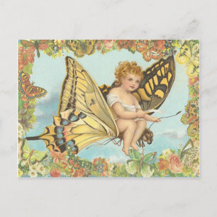Fly Postcard
