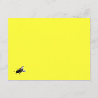 fly postcard