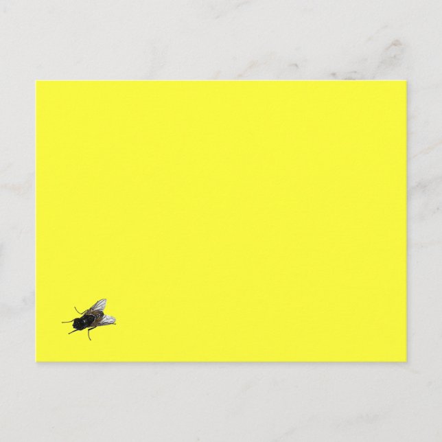 fly postcard (Front)