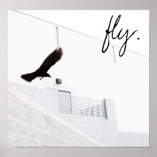 fly. poster
