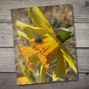 Fly Resting On Daffodil Close-Up Photograph Jigsaw Puzzle