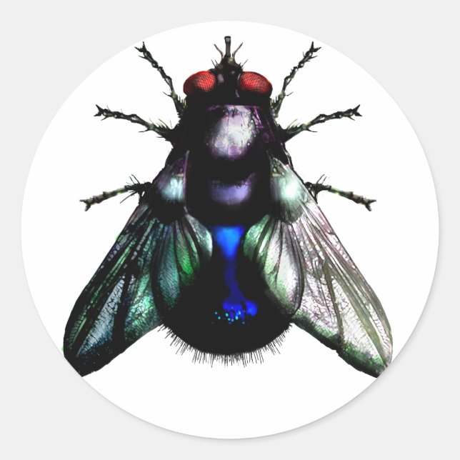 Fly sticker (Front)