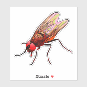 Fly toilet sticker bathroom equipment for pissoir