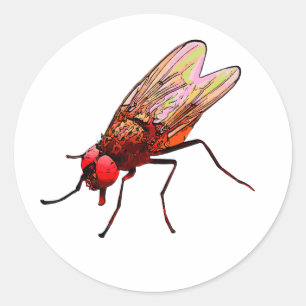 Fly toilet sticker bathroom equipment for pissoir