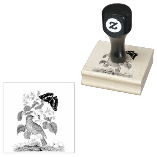 Flycatcher Bird Butterfly Vintage Scrapbooking Rubber Stamp