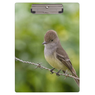 Flycatcher Clipboard