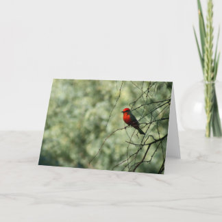 Flycatcher Greeting Card