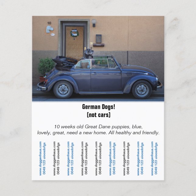 Flyer "Car Seller" (Front)