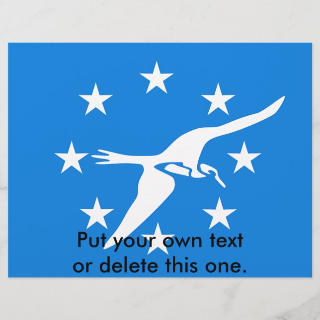 Flyer with Flag of Corpus Christi, USA (Front)