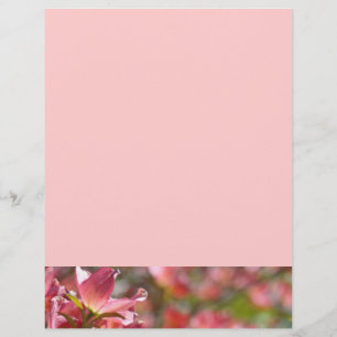 Flyers custom Create Your Own Pink Dogwood Flowers