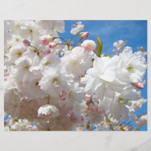 Flyers paper Create Your Own custom Blossoms