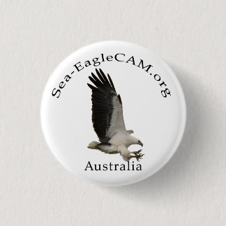 Flying Adult Sea-Eagle Button