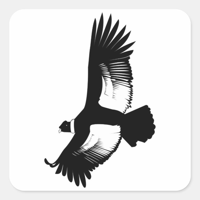 Flying Andean Condor Square Sticker (Front)