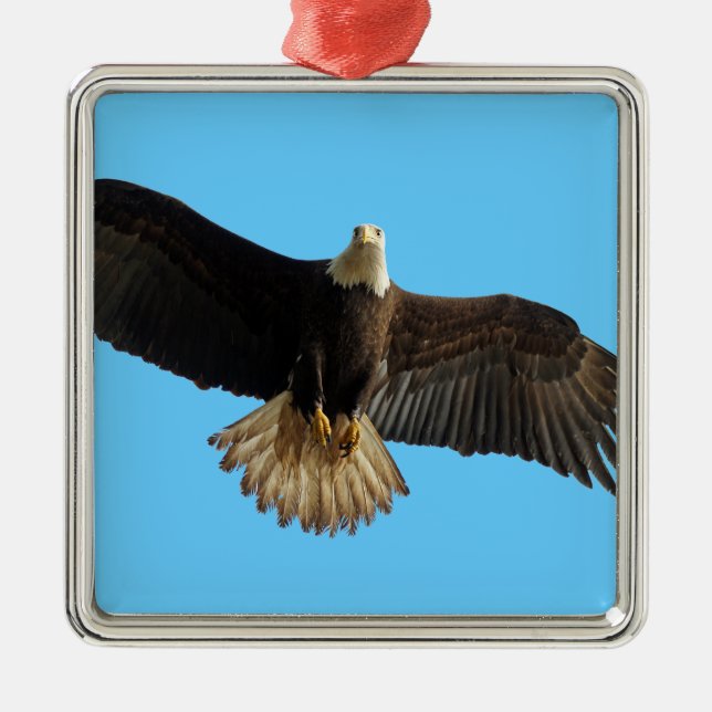 Flying Bald Eagle Bird of Prey Art Metal Tree Decoration (Front)