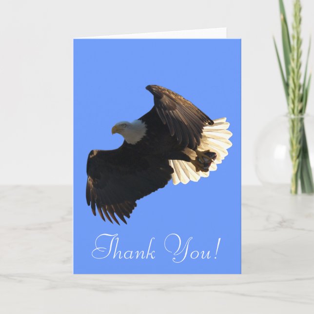 Flying Bald Eagle Free Spirit Thank You Cards (Front)