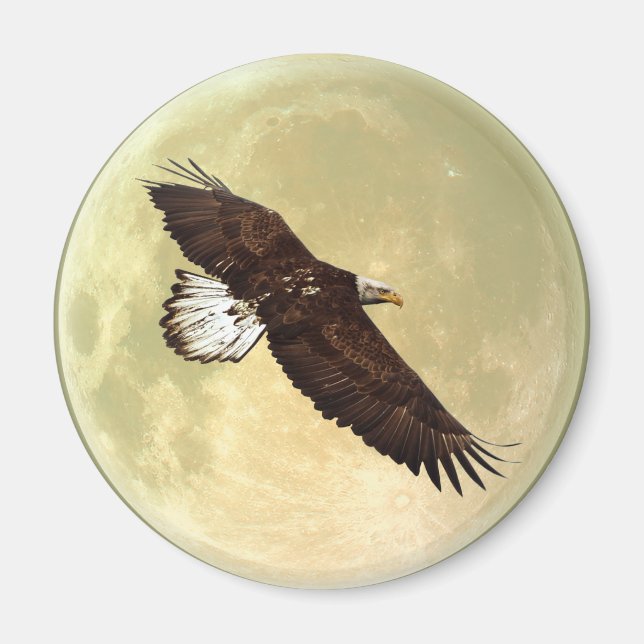 Flying BALD EAGLE & FULL MOON Wildlife Magnet (Front)