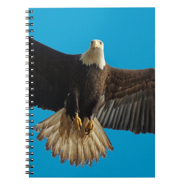 Flying Bald Eagle Wildlife Gift Notebook (Front)