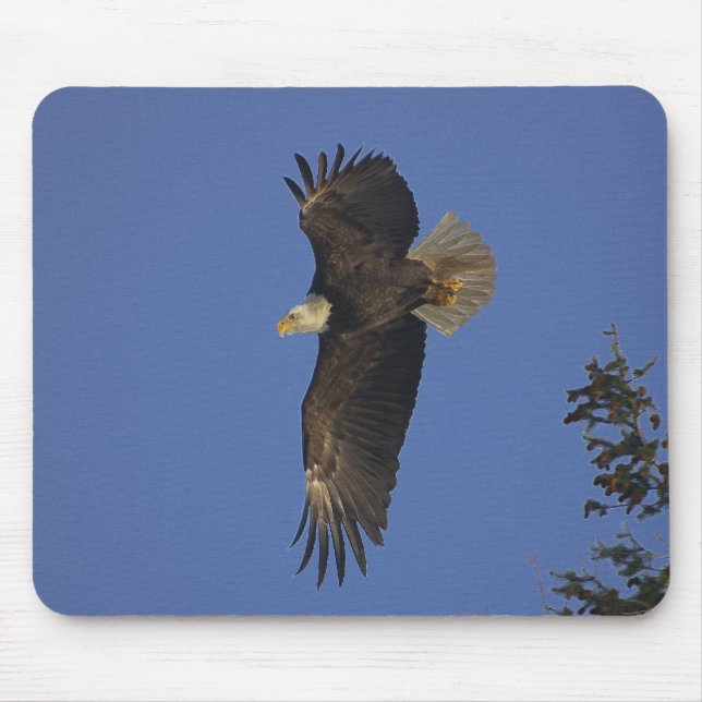 Flying Bald Eagle Wildlife-supporter Art Mouse Mat (Front)