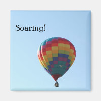 Flying Balloon Seagulls