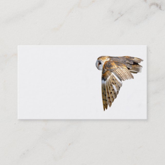 Flying barn owl business card (Front)