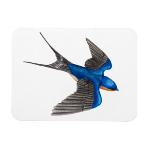 Flying Barn Swallow Flexi Magnet