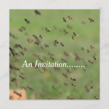 Flying Bees - Personalised Party Invitation