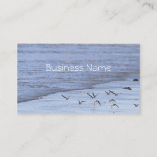 Flying Birds along the Shoreline  Business Card