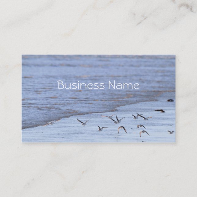 Flying Birds along the Shoreline  Business Card (Front)