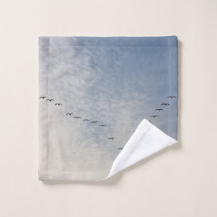 Flying birds wash cloth