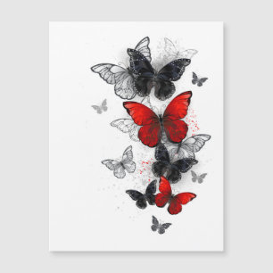 Flying Black and Red Morpho Butterflies