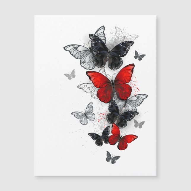 Flying Black and Red Morpho Butterflies (Front)