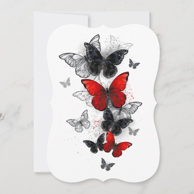 Flying Black and Red Morpho Butterflies (Front)