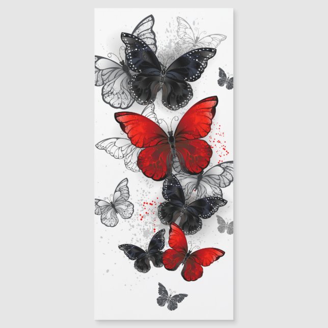 Flying Black and Red Morpho Butterflies (Front)