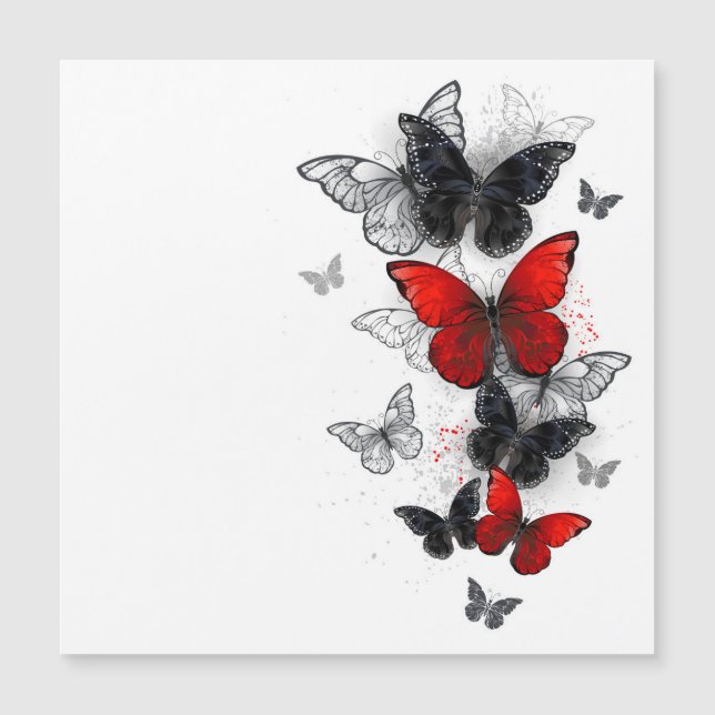 Flying Black and Red Morpho Butterflies (Front)