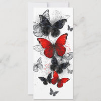 Flying Black and Red Morpho Butterflies