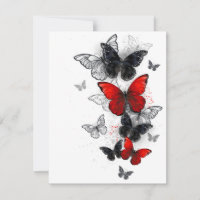 Flying Black and Red Morpho Butterflies