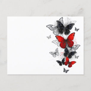 Flying Black and Red Morpho Butterflies Holiday Postcard