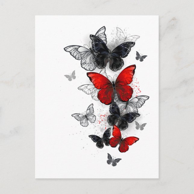 Flying Black and Red Morpho Butterflies Postcard (Front)