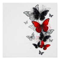 Flying Black and Red Morpho Butterflies