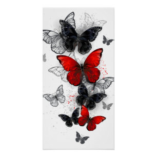 Flying Black and Red Morpho Butterflies Poster