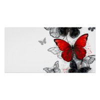 Flying Black and Red Morpho Butterflies