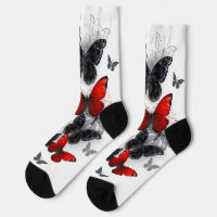 Flying Black and Red Morpho Butterflies