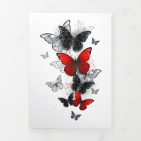 Flying Black and Red Morpho Butterflies