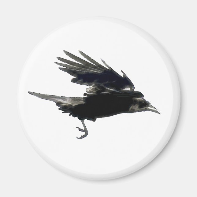 Flying Black Crow Birdlover Magnet (Front)