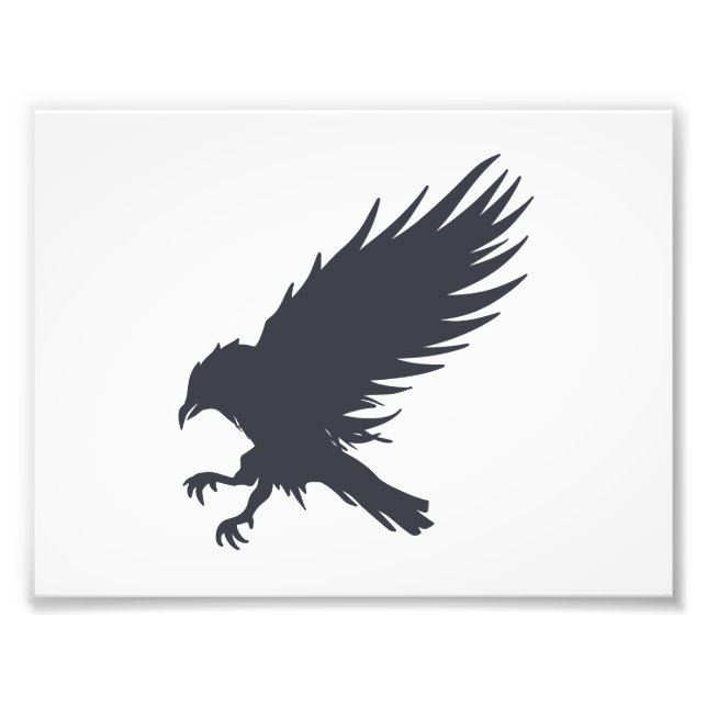 Flying black raven - Choose background colour Photo Print (Front)