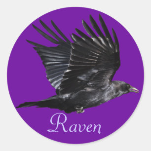 Flying Black Raven Corvid Crow-lover Photo Design Classic Round Sticker